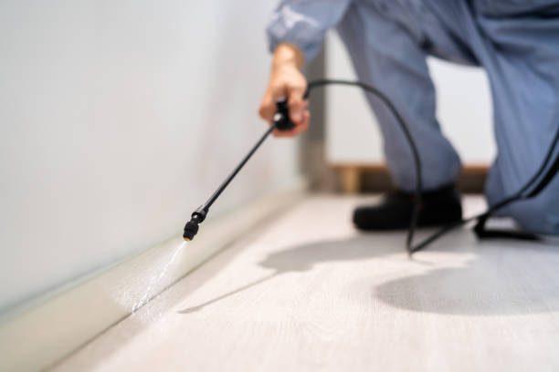 Certified termite inspector examining foundation in Waterville