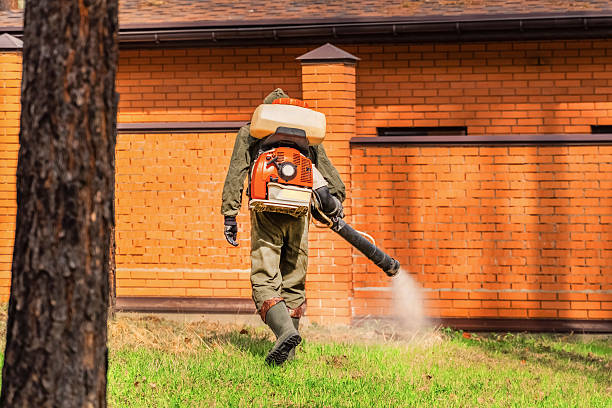 Top rated local Ant Control specialists in Waterville, OH